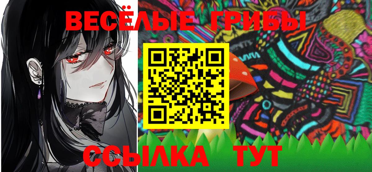 Псилоцибиновые грибы GOLDEN TEACHER Россия
