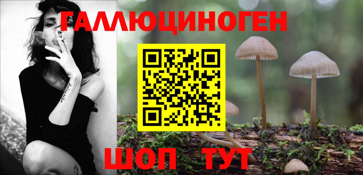 Россия  Галлюциногенные грибы MAGIC MUSHROOMS  Вход с VPN 